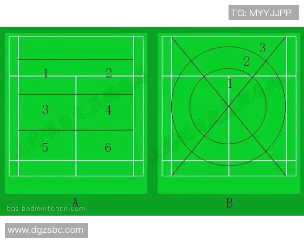 实时新闻南京羽毛球队选拔赛战术分析与表现评估探讨